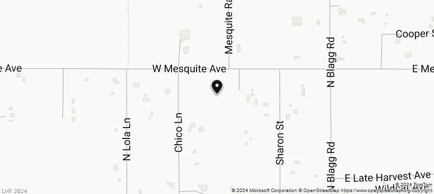 281 W Mesquite Avenue Pahrump, NV 89060