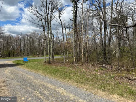 BOW WOOD TRAIL