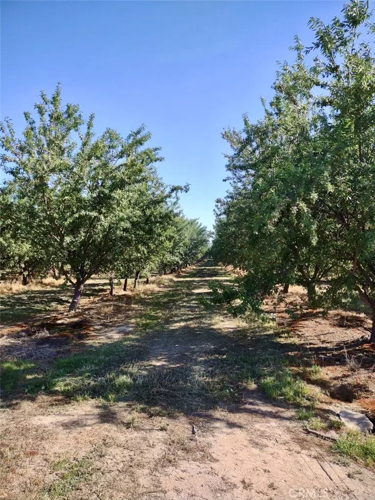 10351 Avenue 112 Pixley, CA 93256