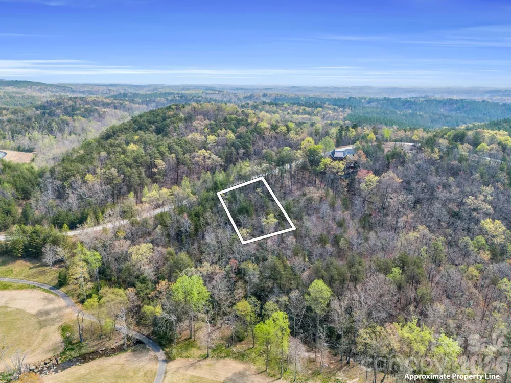0 Deep Gap Farm Road E Mill Spring, NC 28756