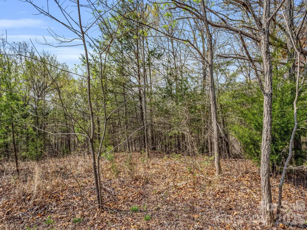 0 Chestertown Drive Mill Spring, NC 28756