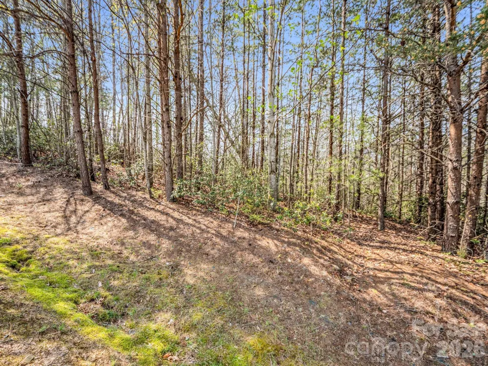 0 Chestertown Drive Mill Spring, NC 28756