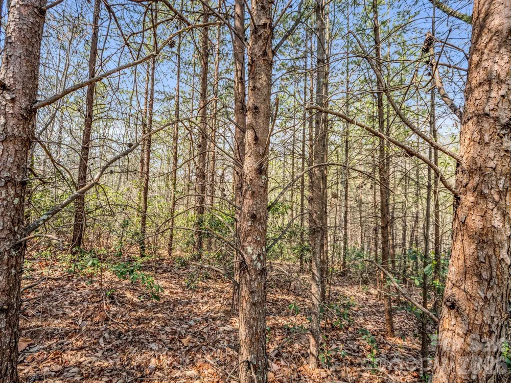0 Chestertown Drive Mill Spring, NC 28756