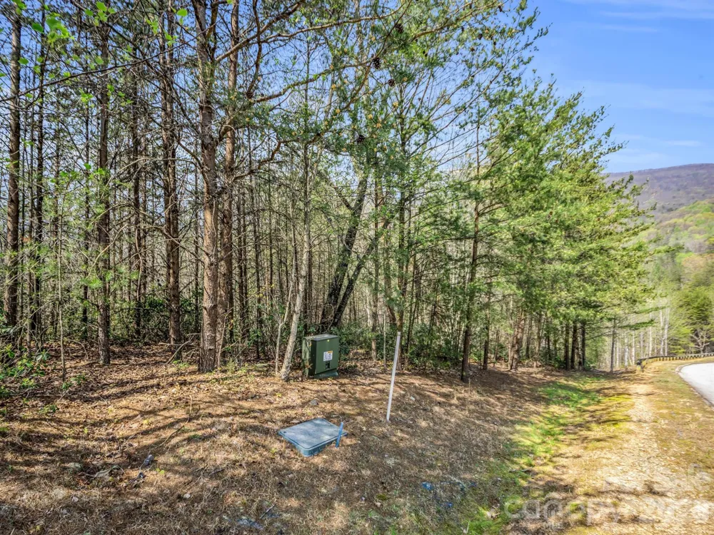 0 Chestertown Drive Mill Spring, NC 28756