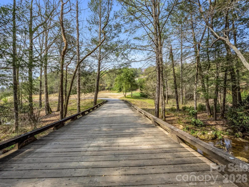 0 Chestertown Drive Mill Spring, NC 28756