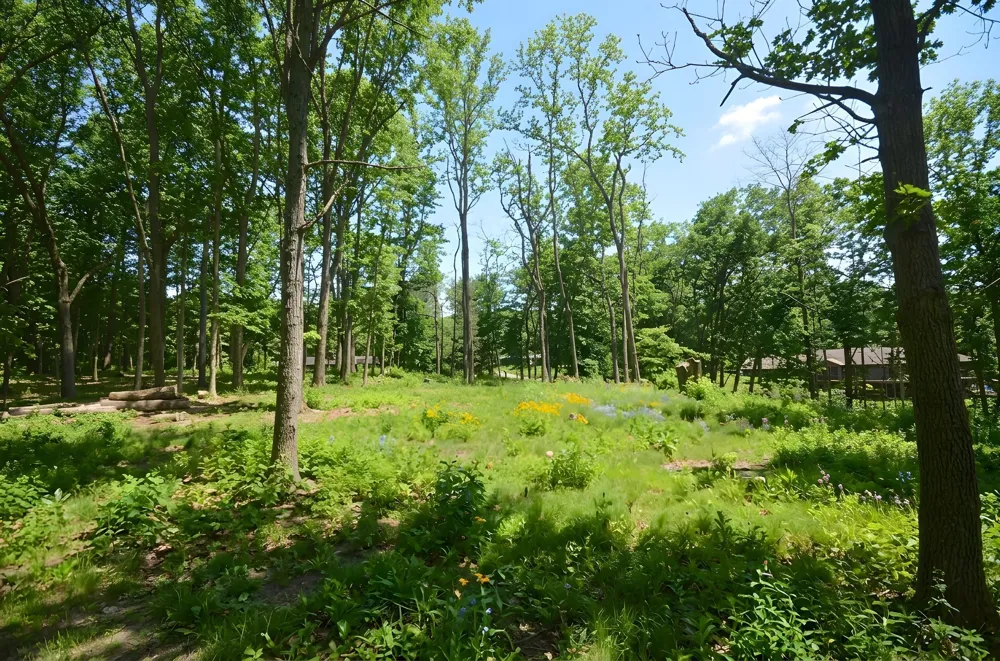 6029 Far Hills Way Kalamazoo, MI 49009