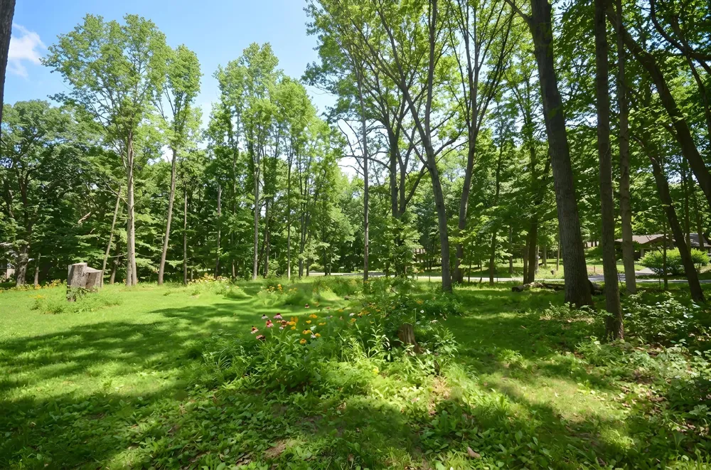 6029 Far Hills Way Kalamazoo, MI 49009