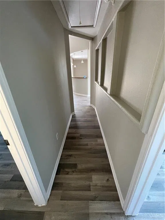 408 Rene Street Alamo, TX 78516