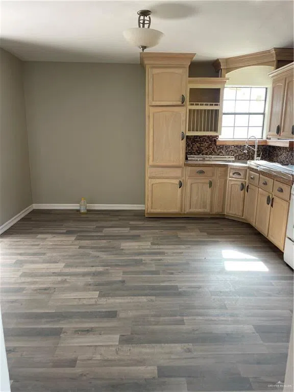 408 Rene Street Alamo, TX 78516