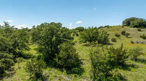 1510 Hidden Oaks Trail