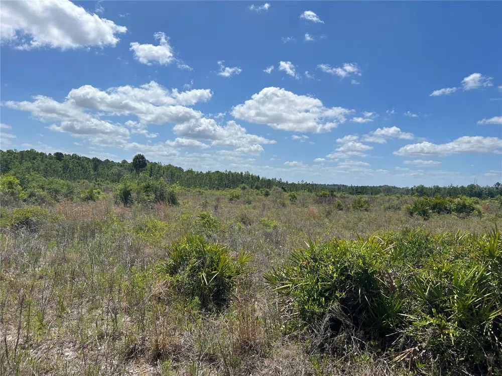 HWY 40 Dunnellon, FL 34430