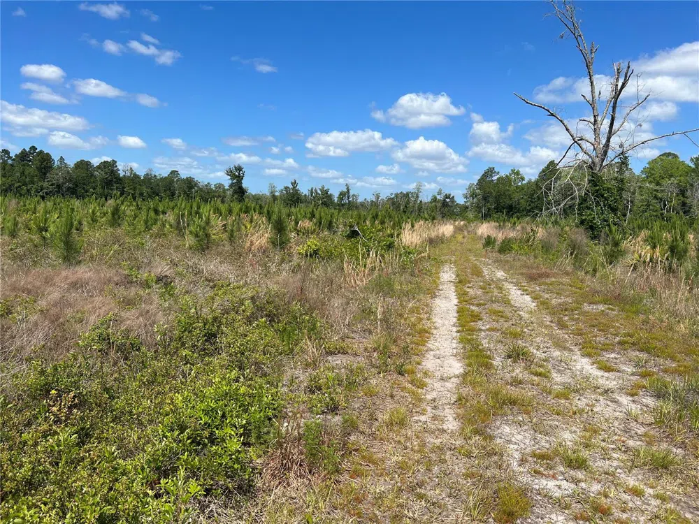 HWY 40 Dunnellon, FL 34430