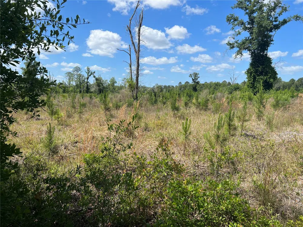 HWY 40 Dunnellon, FL 34430