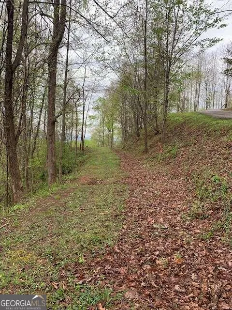 LT 10 High Meadows Hayesville, NC 28904