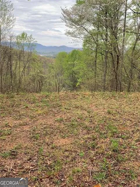 LT 10 High Meadows Hayesville, NC 28904