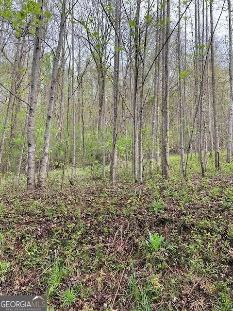 LT 10 High Meadows Hayesville, NC 28904