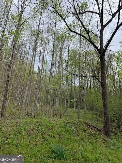 LT 10 High Meadows Hayesville, NC 28904