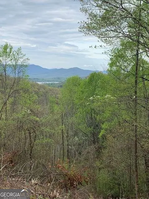 LT 10 High Meadows Hayesville, NC 28904