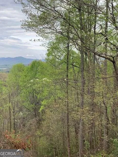 LT 10 High Meadows Hayesville, NC 28904