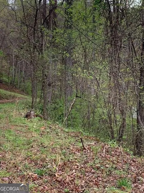 LT 10 High Meadows Hayesville, NC 28904