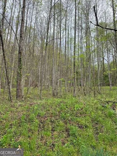 LT 10 High Meadows Hayesville, NC 28904