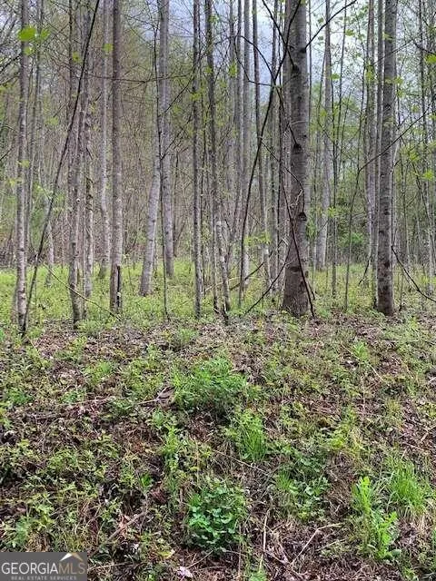 LT 10 High Meadows Hayesville, NC 28904