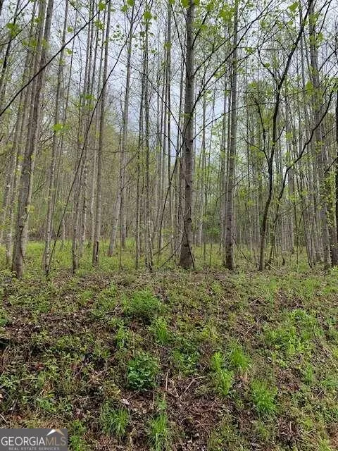 LT 10 High Meadows Hayesville, NC 28904