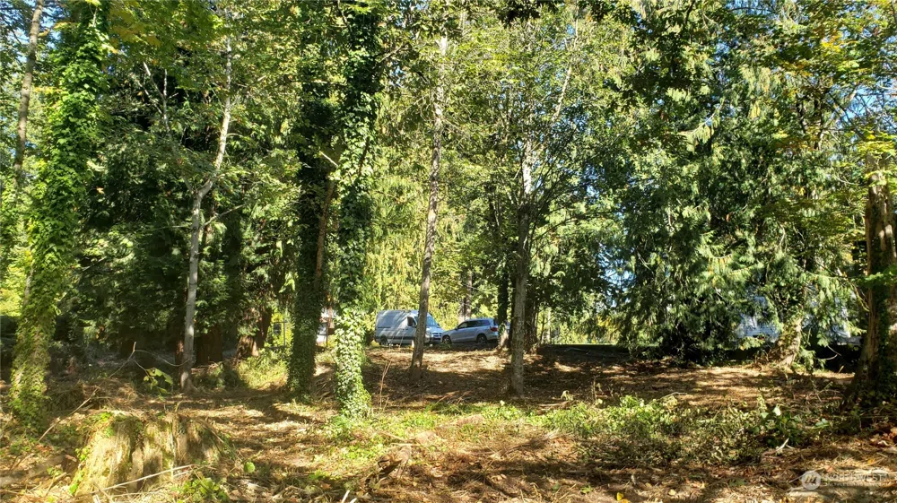 132 XX SE 231st Street Kent, WA 98042
