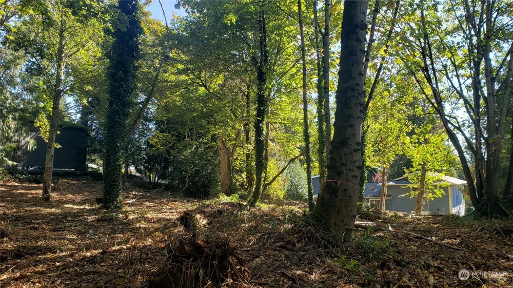 132 XX SE 231st Street Kent, WA 98042