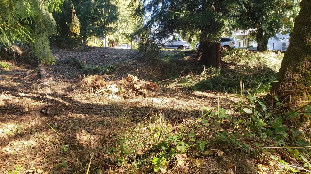 132 XX SE 231st Street Kent, WA 98042