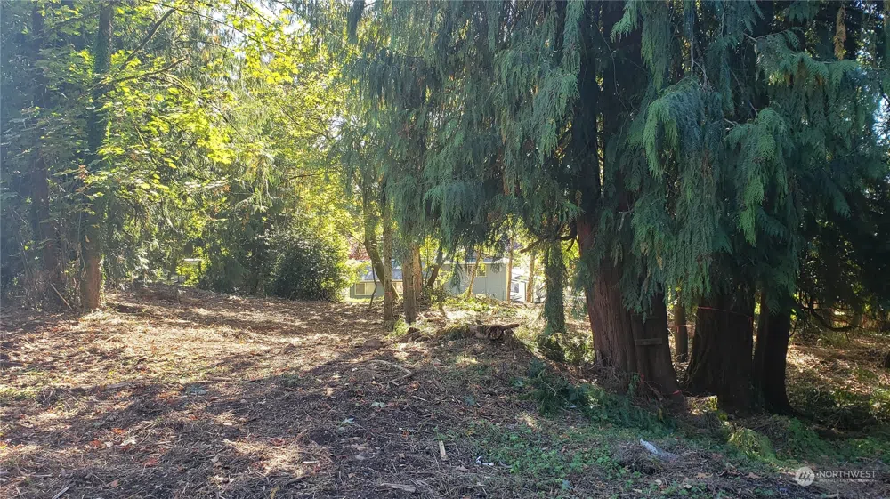 132 XX SE 231st Street Kent, WA 98042