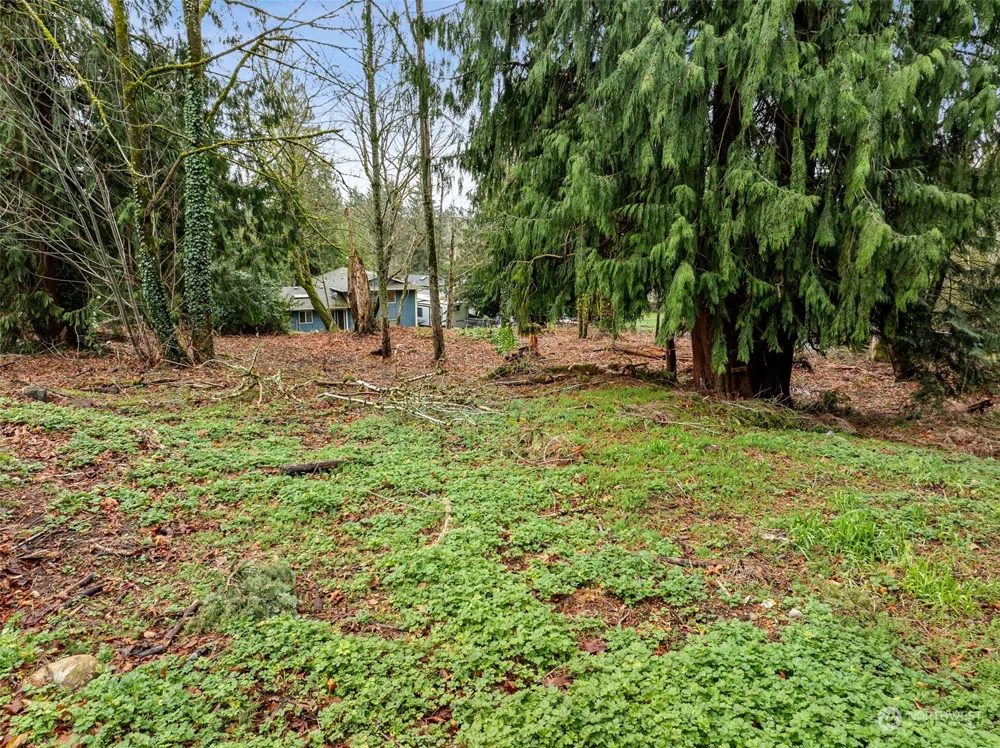 132 XX SE 231st Street Kent, WA 98042