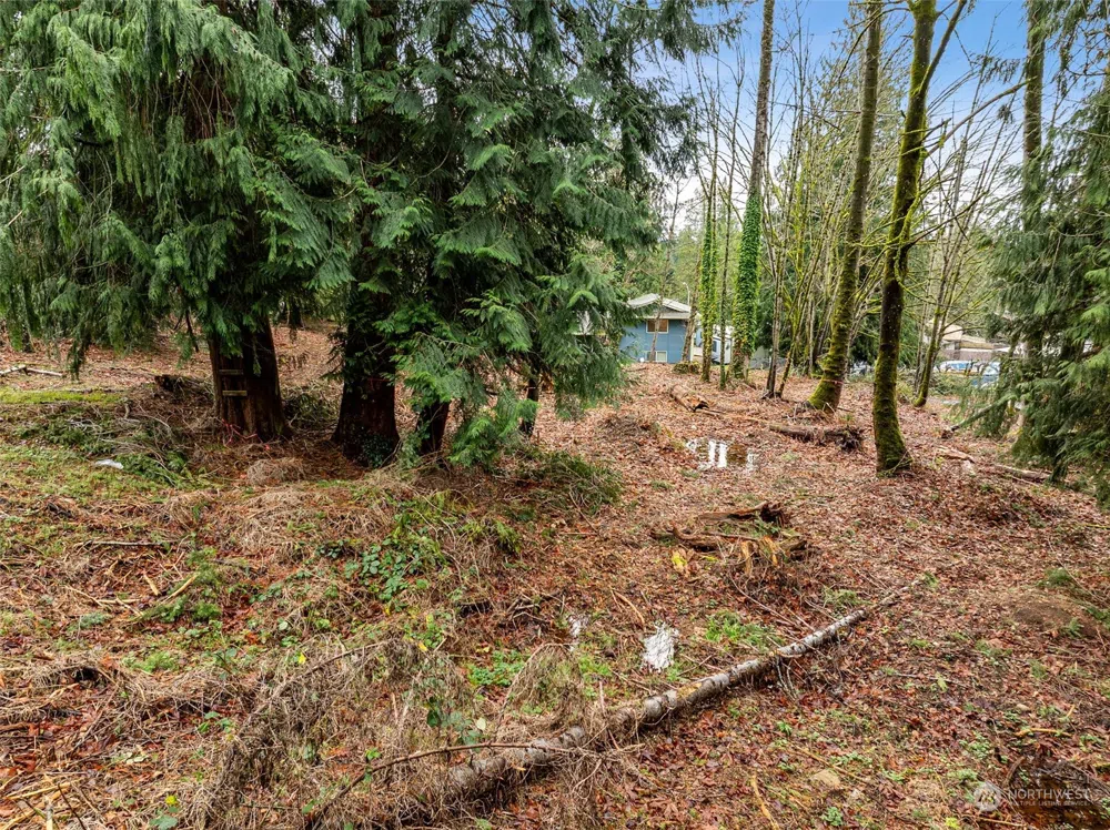 132 XX SE 231st Street Kent, WA 98042