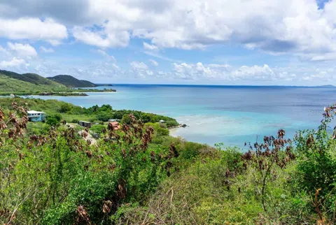 24 QUINTAS DE CULEBRA