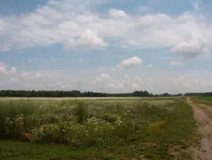 2150 17 Mile Road Kent City, MI 49330