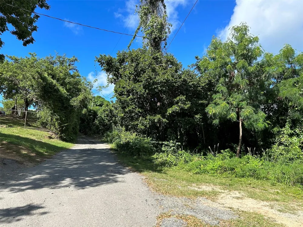 LA LLAVE Vieques, PR 00765