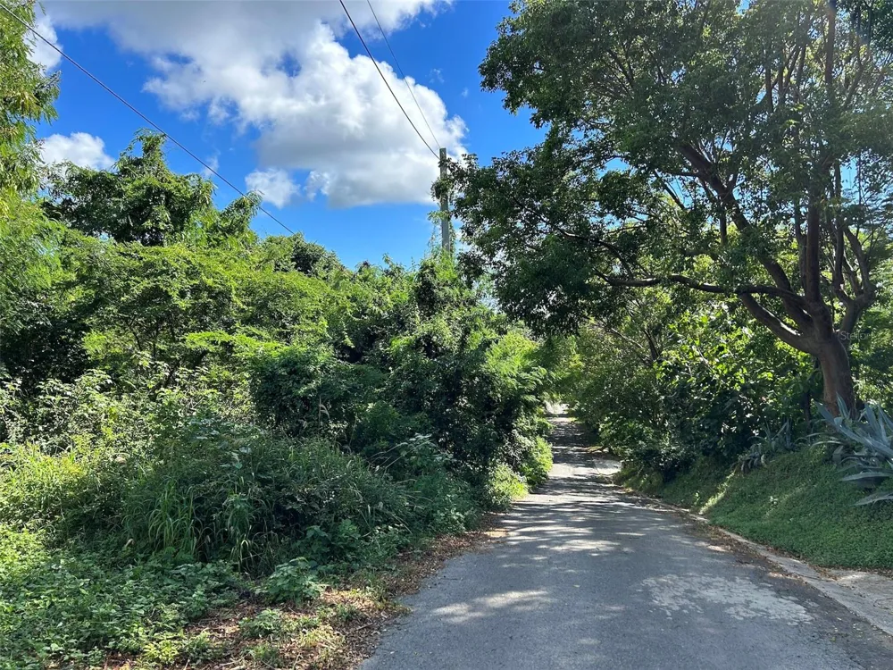 LA LLAVE Vieques, PR 00765