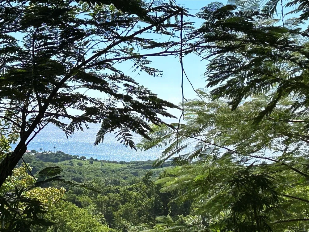 LA LLAVE Vieques, PR 00765