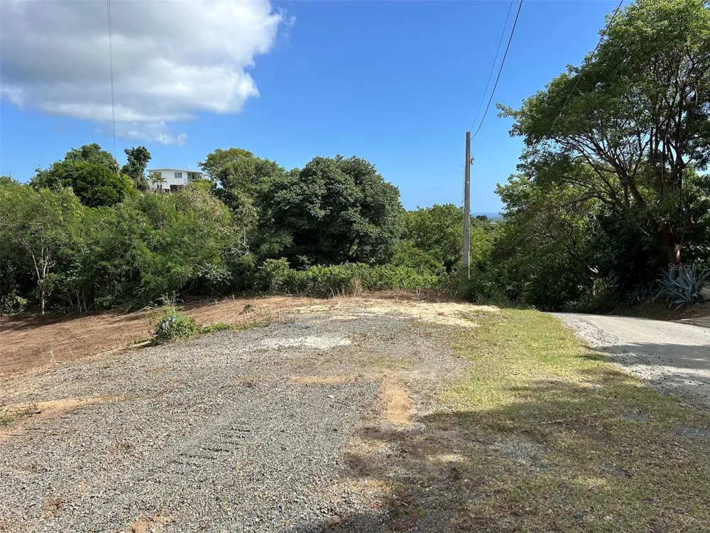 LA LLAVE Vieques, PR 00765