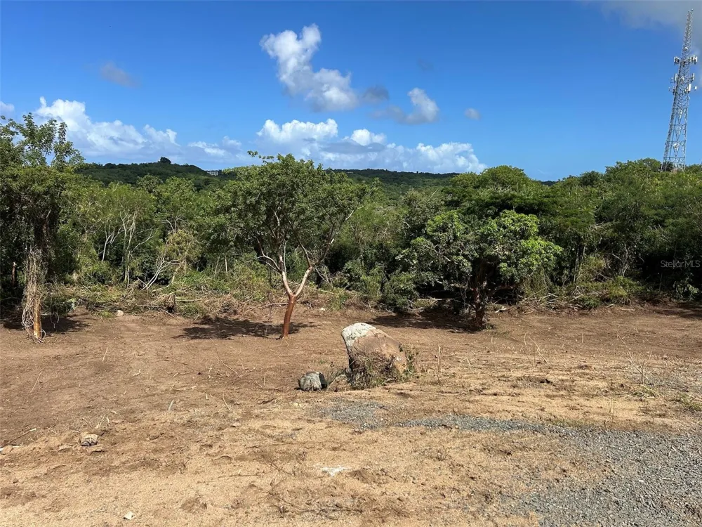 LA LLAVE Vieques, PR 00765