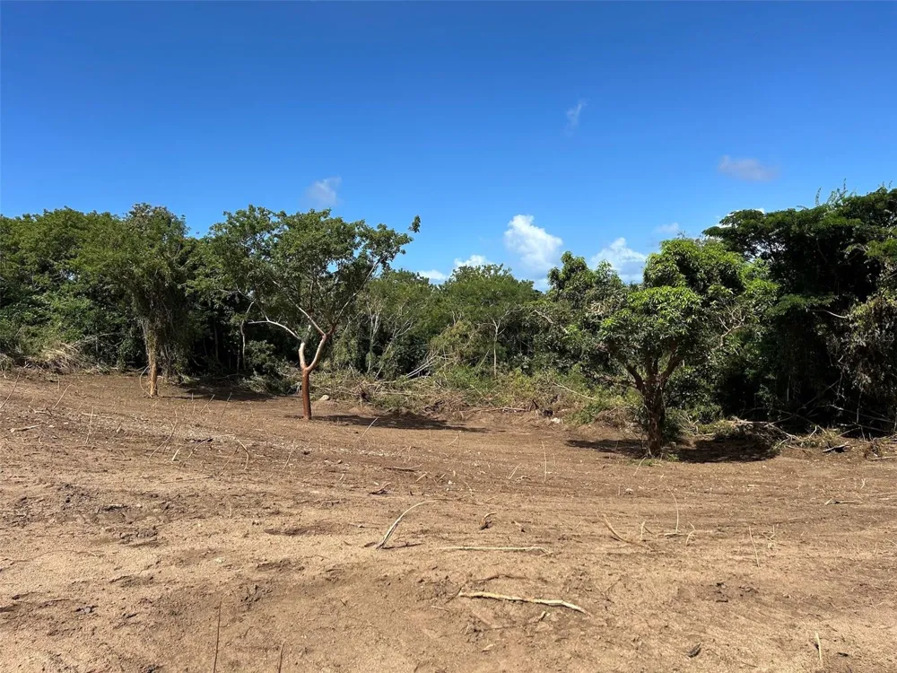 LA LLAVE Vieques, PR 00765