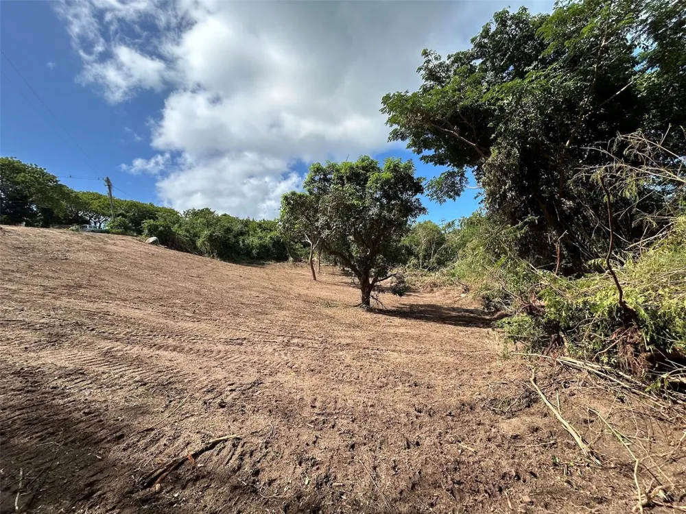 LA LLAVE Vieques, PR 00765