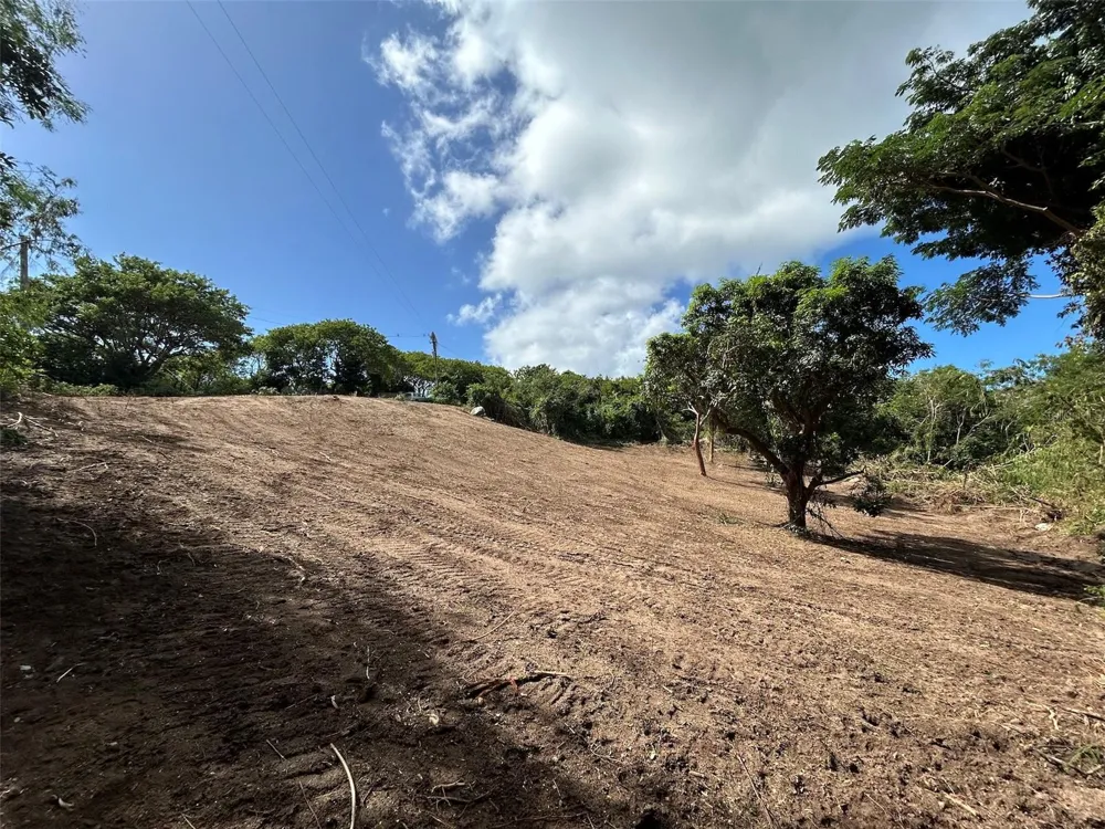LA LLAVE Vieques, PR 00765