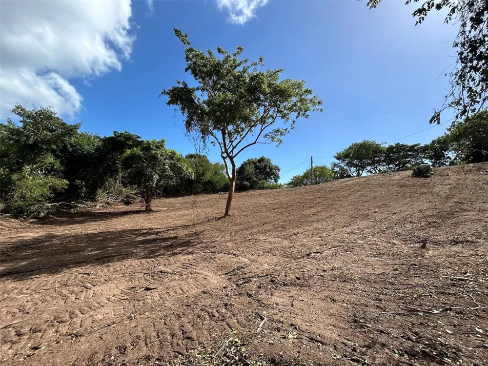 LA LLAVE Vieques, PR 00765