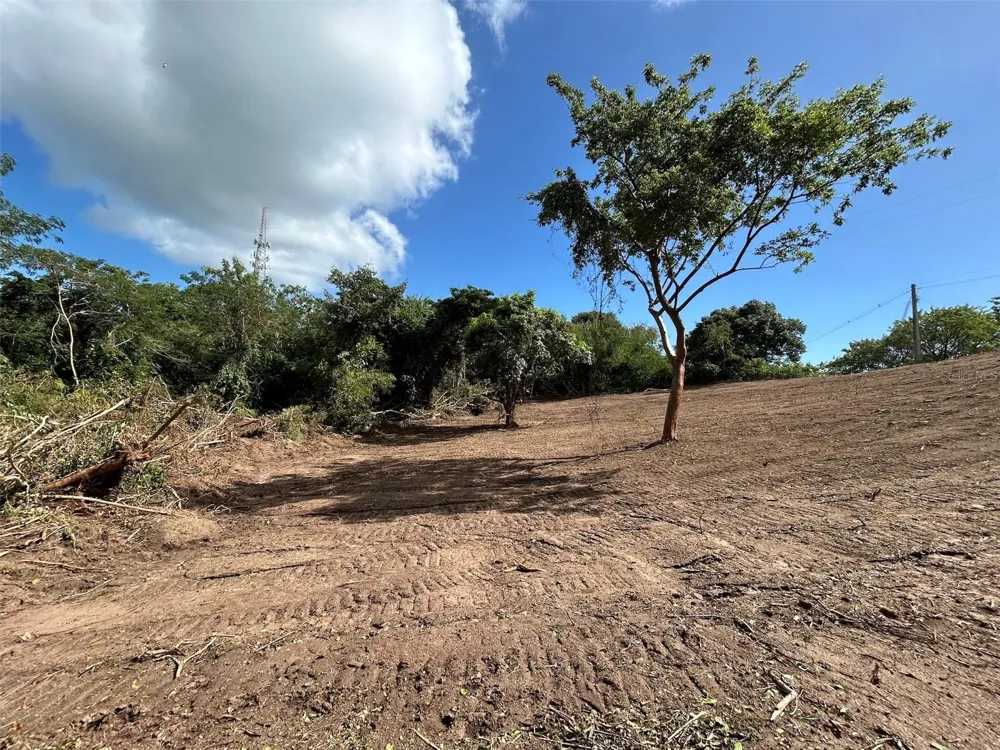LA LLAVE Vieques, PR 00765
