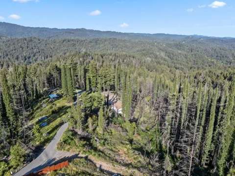 1410 Pinecrest Drive