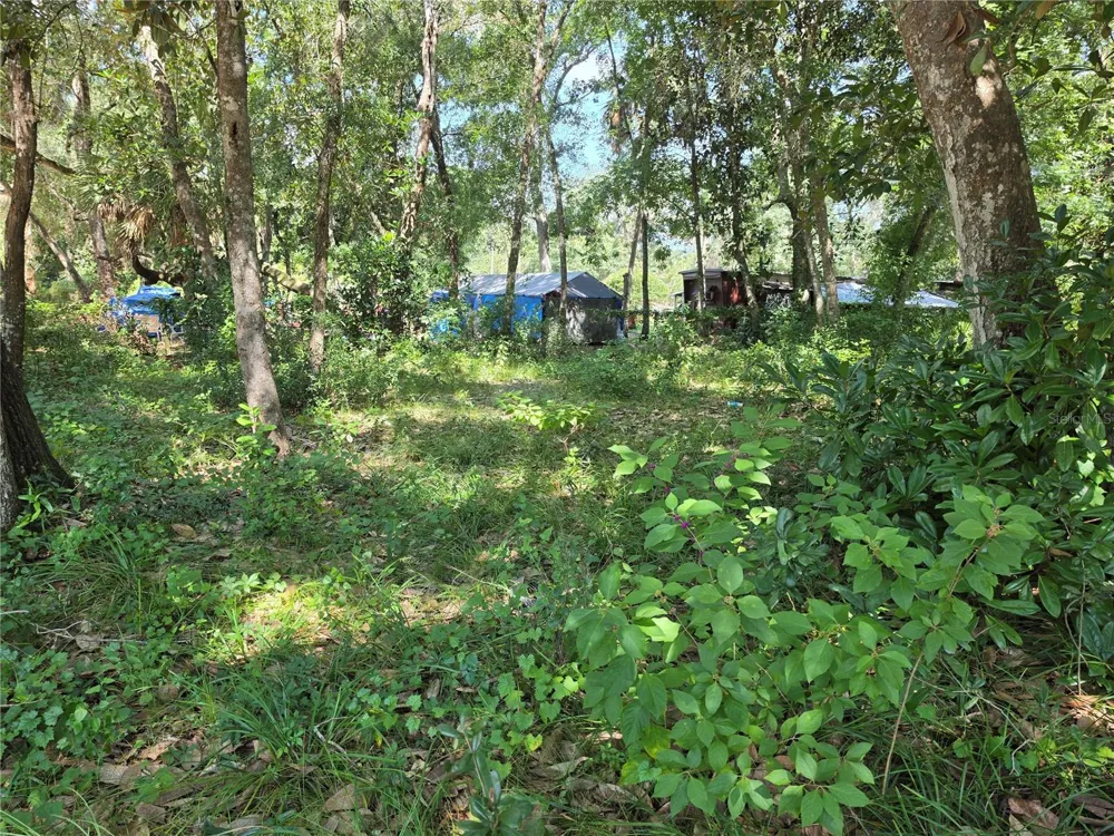 0 NE 167TH TERRACE Silver Springs, FL 34488