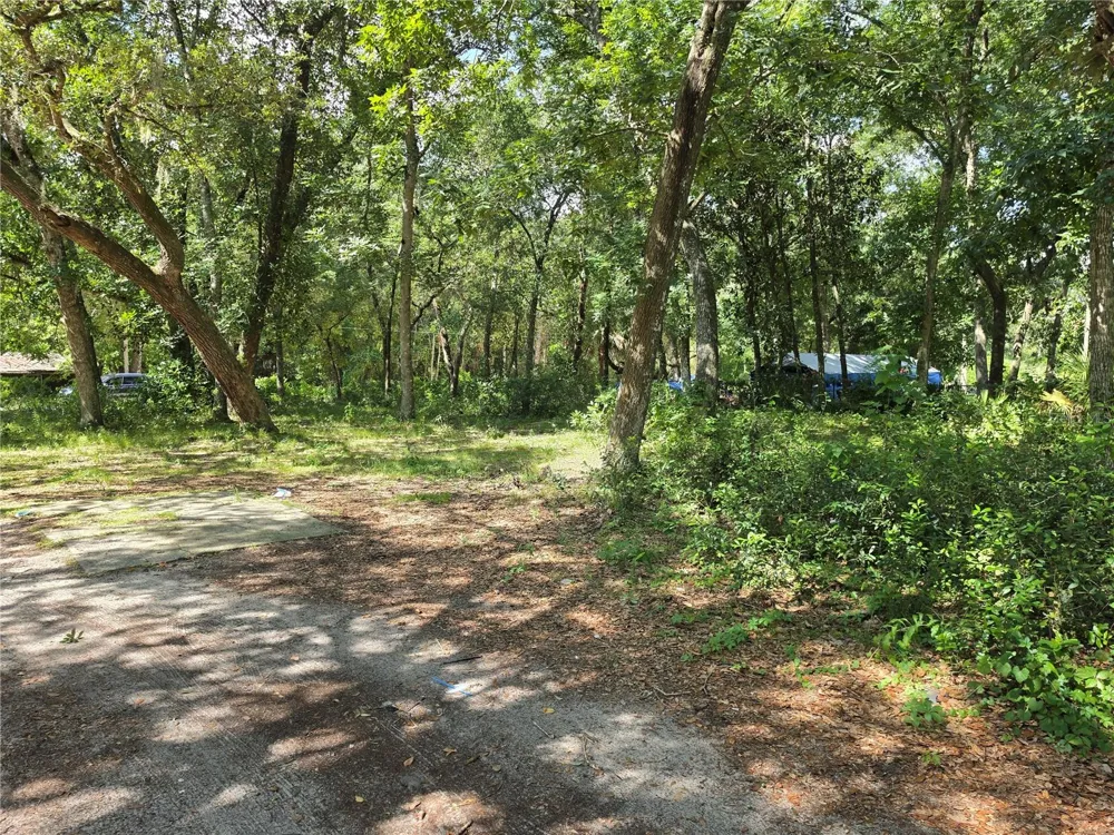 0 NE 167TH TERRACE Silver Springs, FL 34488