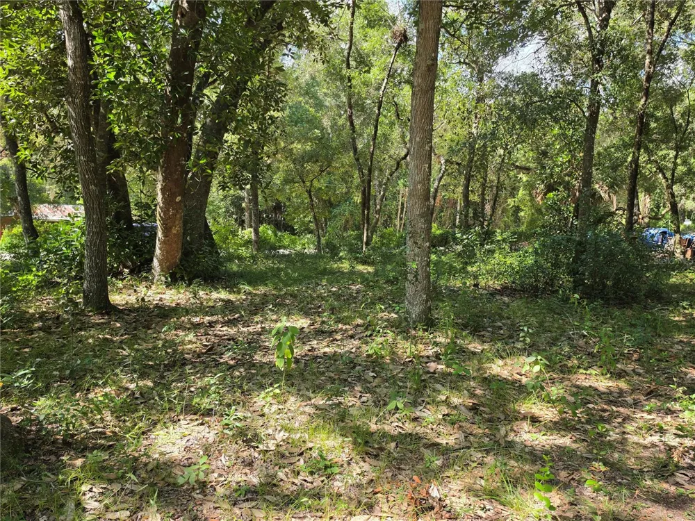 0 NE 167TH TERRACE Silver Springs, FL 34488