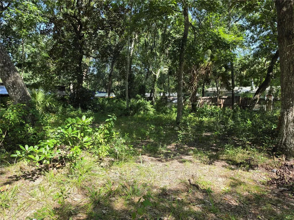 0 NE 167TH TERRACE Silver Springs, FL 34488